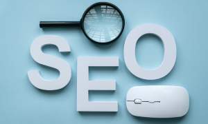 consultor seo